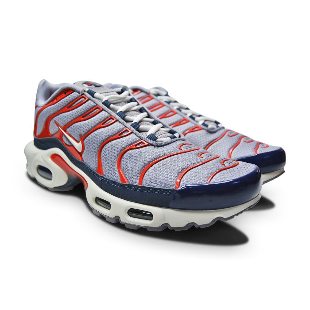 Nike Air Max Plus 'Grey USA'