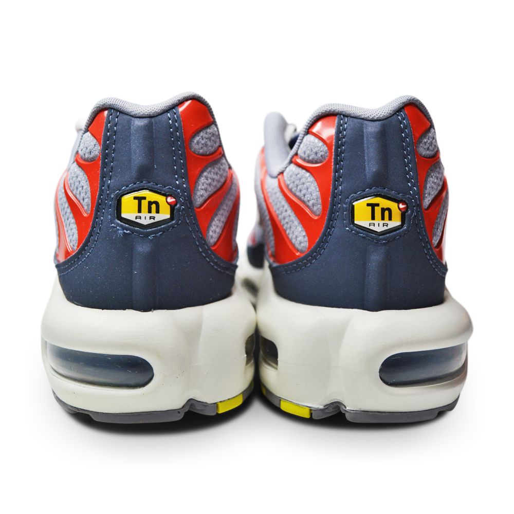 Nike Air Max Plus 'Grey USA'