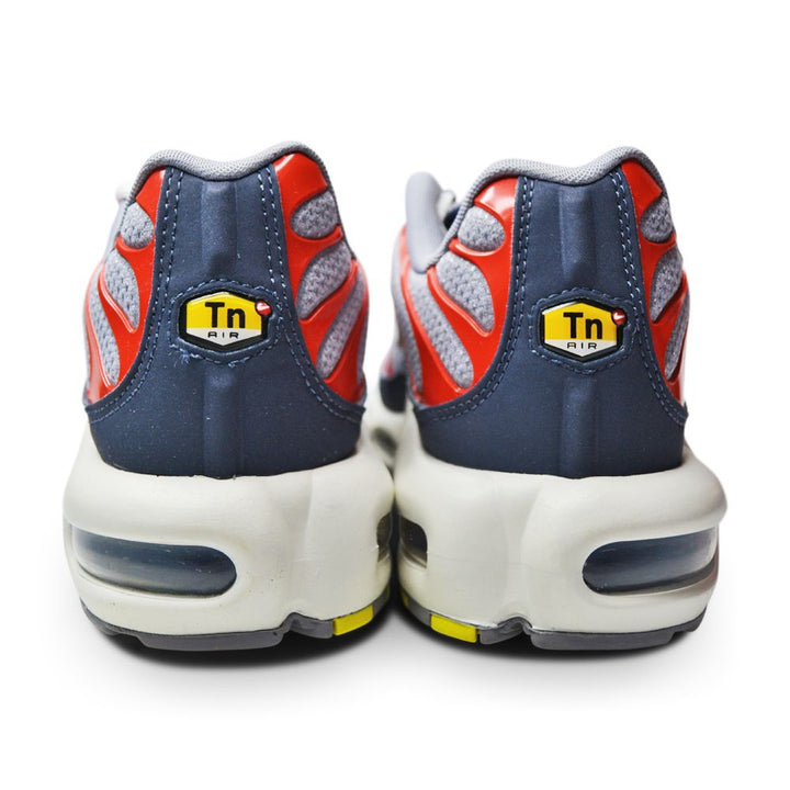 Nike Air Max Plus 'Grey USA'